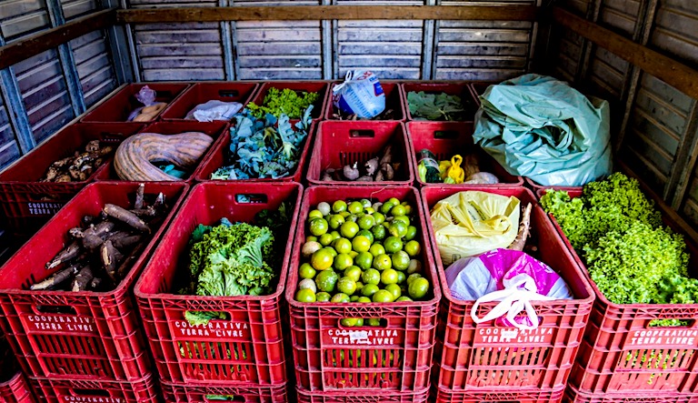 At the beginning of the pandemic, MST launched an ongoing national campaign to take food from the settlements to vulnerable populations in cities, the collection center organized by ELAA for people living in the outskirts of the state capital, Curitiba, offers a great variety of fresh foods. Image courtesy of Wellington Lenon/ELAA.